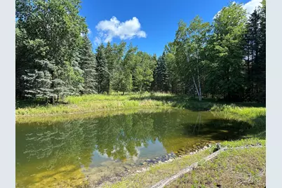 4485 S Miles Road, Sheridan, MI 48884 - Photo 37