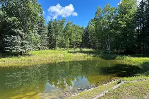 4485 S Miles Rd, Sheridan, MI 48884 - Photo 37