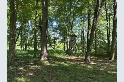 4485 S Miles Road, Sheridan, MI 48884 - Photo 63