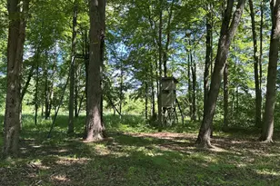 4485 S Miles Rd, Sheridan, MI 48884 - Photo 63