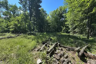 4485 S Miles Rd, Sheridan, MI 48884 - Photo 65