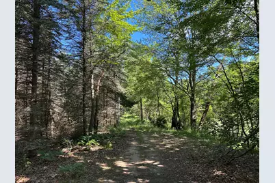 4485 S Miles Road, Sheridan, MI 48884 - Photo 51