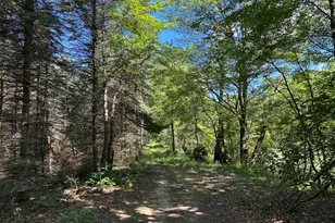 4485 S Miles Rd, Sheridan, MI 48884 - Photo 51