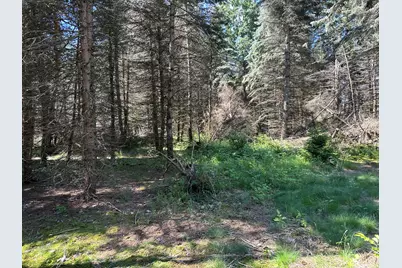 4485 S Miles Road, Sheridan, MI 48884 - Photo 53