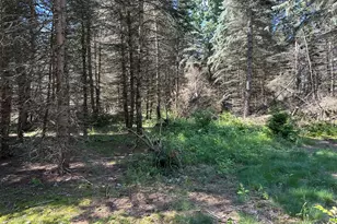 4485 S Miles Rd, Sheridan, MI 48884 - Photo 53