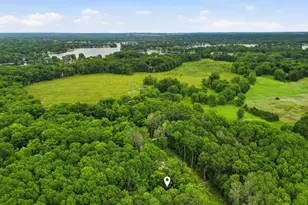 8128 Highland Trail, Canadian Lakes, MI 49346 - Photo 3