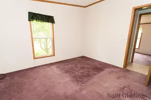 206 E 1st St, Stanton, MI 48888 - Photo 27