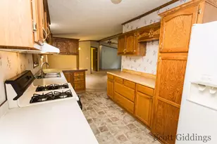 206 E 1st St, Stanton, MI 48888 - Photo 43
