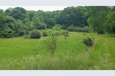 9681 SW Greenville Road, Greenville, MI 48838 - Photo 1