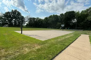 4133 Presidents Way, DeWitt, MI 48820 - Photo 49