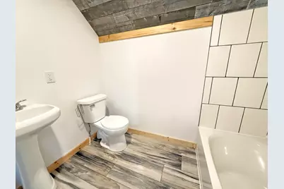 91 Dickerson View SW, Stanton, MI 48888 - Photo 21