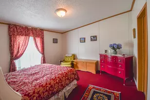 817 Williams Dr, Quincy, MI 49082 - Photo 15