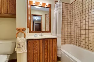 311 E Lake Mitchell Dr, Cadillac, MI 49601 - Photo 51