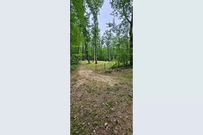 10527 Wampum Trail, Evart, MI 49631 - Photo 5
