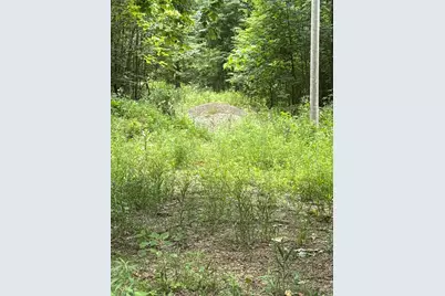 2264 D Drive S, East Leroy, MI 49051 - Photo 7