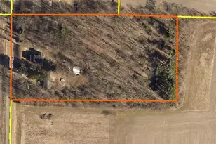1139 59th St, Grand Junction, MI 49056 - Photo 21