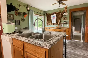 10137 N Shaytown Rd, Mulliken, MI 48861 - Photo 23