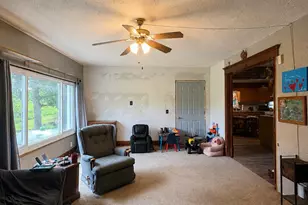 10137 N Shaytown Rd, Mulliken, MI 48861 - Photo 19