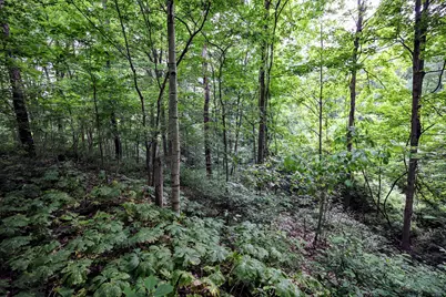 Vl Black River Rd, Bangor, MI 49013 - Photo 27