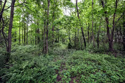 Vl Black River Rd, Bangor, MI 49013 - Photo 23