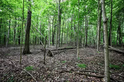 Vl Black River Rd, Bangor, MI 49013 - Photo 3
