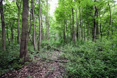 Vl Black River Rd, Bangor, MI 49013 - Photo 25
