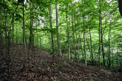 Vl Black River Rd, Bangor, MI 49013 - Photo 39