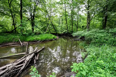 Vl Black River Rd, Bangor, MI 49013 - Photo 33
