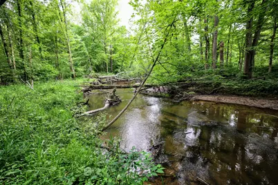 Vl Black River Rd, Bangor, MI 49013 - Photo 1