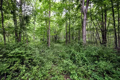 Vl Black River Rd, Bangor, MI 49013 - Photo 47