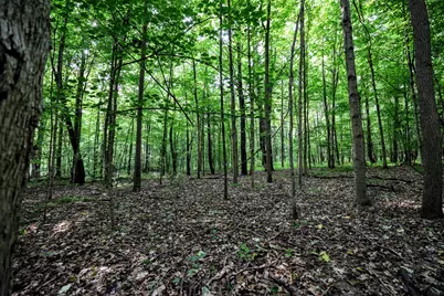 Vl Black River Rd, Bangor, MI 49013 - Photo 15