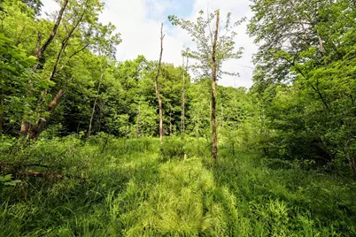 Vl Black River Rd, Bangor, MI 49013 - Photo 53