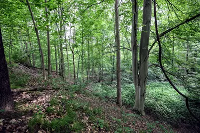 Vl Black River Rd, Bangor, MI 49013 - Photo 29