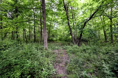 Vl Black River Rd, Bangor, MI 49013 - Photo 5
