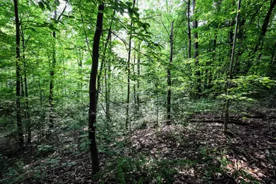 Vl Black River Rd, Bangor, MI 49013 - Photo 51