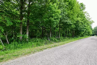 Vl Black River Rd, Bangor, MI 49013 - Photo 21