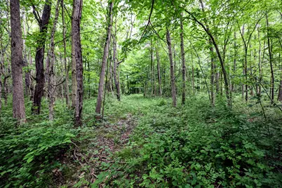 Vl Black River Rd, Bangor, MI 49013 - Photo 49