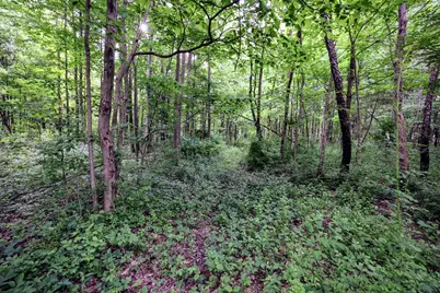 Vl Black River Rd, Bangor, MI 49013 - Photo 45
