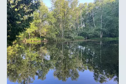 5499 W McBride Road, Lakeview, MI 48850 - Photo 21