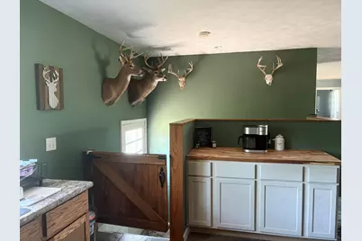 5499 W McBride Road, Lakeview, MI 48850 - Photo 7