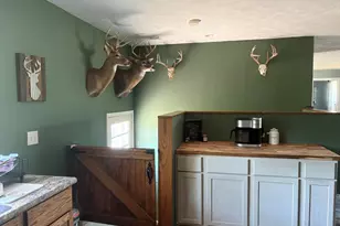 5499 W McBride Rd, Lakeview, MI 48850 - Photo 7