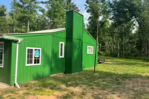 8338 E Wilderness Trail, White Cloud, MI 49349 - Photo 3