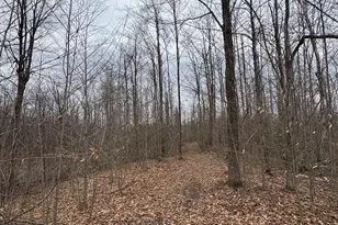 1734 N Galbraith Rd, Mio, MI 48647 - Photo 53