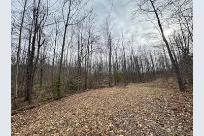 1734 N Galbraith Road, Mio, MI 48647 - Photo 67