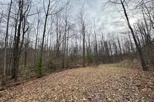 1734 N Galbraith Rd, Mio, MI 48647 - Photo 67