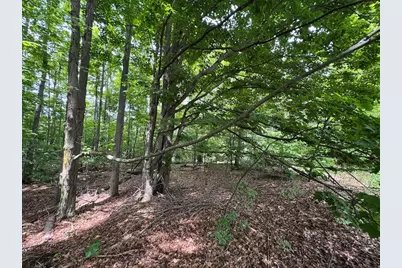 1734 N Galbraith Road, Mio, MI 48647 - Photo 29