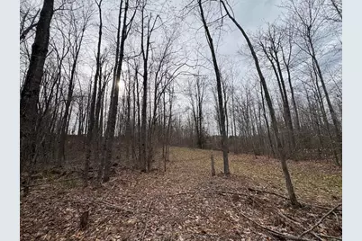 1734 N Galbraith Road, Mio, MI 48647 - Photo 63