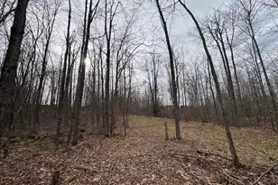 1734 N Galbraith Rd, Mio, MI 48647 - Photo 63
