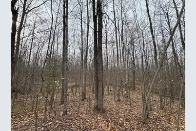 1734 N Galbraith Road, Mio, MI 48647 - Photo 57