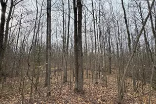 1734 N Galbraith Rd, Mio, MI 48647 - Photo 57